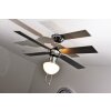 Globo CHAMPION Ventilatore Cromo, Acciaio inox, Bianco, 1-Luce