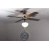 Globo CHAMPION Ventilatore Cromo, Acciaio inox, Bianco, 1-Luce