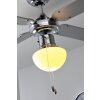 Globo CHAMPION Ventilatore Cromo, Acciaio inox, Bianco, 1-Luce