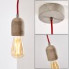 Lemone Lampadario a sospensione Grigio, 1-Luce