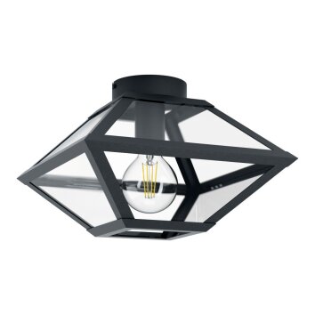 EGLO CASEFABRE Plafoniera Nero, 1-Luce