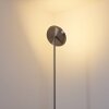 Mjölby Lampada da terra LED Nichel opaco, 1-Luce