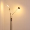 Gulkana Lampada da terra LED Nichel opaco, 2-Luci