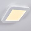 Siguna Plafoniera LED Bianco, 1-Luce