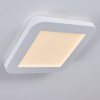 Siguna Plafoniera LED Bianco, 1-Luce