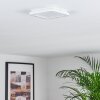 Siguna Plafoniera LED Bianco, 1-Luce