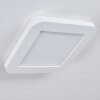 Siguna Plafoniera LED Bianco, 1-Luce