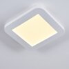 Siguna Plafoniera LED Bianco, 1-Luce