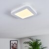 Siguna Plafoniera LED Bianco, 1-Luce