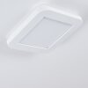 Siguna Plafoniera LED Bianco, 1-Luce