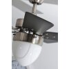 Globo MARVA Ventilatore Acciaio inox, Grigio, Nichel opaco, Bianco, 1-Luce