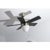 Globo MARVA Ventilatore Acciaio inox, Grigio, Nichel opaco, Bianco, 1-Luce
