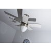 Globo MARVA Ventilatore Acciaio inox, Grigio, Nichel opaco, Bianco, 1-Luce