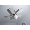 Globo MARVA Ventilatore Acciaio inox, Grigio, Nichel opaco, Bianco, 1-Luce