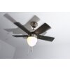 Globo MARVA Ventilatore Acciaio inox, Grigio, Nichel opaco, Bianco, 1-Luce