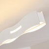 Nagold Plafoniera LED Bianco, 1-Luce