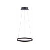 Paul Neuhaus TITUS Lampada a Sospensione LED Antracite, 1-Luce