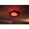 Philips Hue Ambiance White & Color Econic Applique LED Nero, 1-Luce, Cambia colore