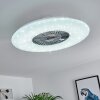 Petrovac ventilatore da soffitto LED Cromo, Bianco, 1-Luce, Telecomando