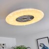 Petrovac ventilatore da soffitto LED Cromo, Bianco, 1-Luce, Telecomando