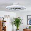 Petrovac ventilatore da soffitto LED Cromo, Bianco, 1-Luce, Telecomando