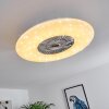 Petrovac ventilatore da soffitto LED Cromo, Bianco, 1-Luce, Telecomando