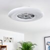 Petrovac ventilatore da soffitto LED Cromo, Bianco, 1-Luce, Telecomando