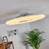 Petrovac ventilatore da soffitto LED Cromo, Bianco, 1-Luce, Telecomando