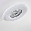 Petrovac ventilatore da soffitto LED Cromo, Bianco, 1-Luce, Telecomando