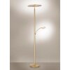 Paul Neuhaus ARTUR Lampada da terra LED Ottone, 1-Luce