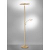 Paul Neuhaus ARTUR Lampada da terra LED Ottone, 1-Luce