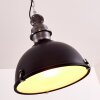 Ilvy Lampadario a sospensione Nero, 1-Luce