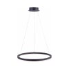 Paul Neuhaus TITUS Lampada a Sospensione LED Antracite, 1-Luce