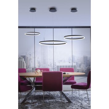 Paul Neuhaus TITUS Lampada a Sospensione LED Antracite, 1-Luce