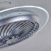 Tamworth ventilatore da soffitto LED Argento, Trasparente, chiaro, 1-Luce, Telecomando