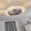 Tamworth ventilatore da soffitto LED Argento, Trasparente, chiaro, 1-Luce, Telecomando