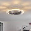 Tamworth ventilatore da soffitto LED Argento, Trasparente, chiaro, 1-Luce, Telecomando