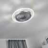 Tamworth ventilatore da soffitto LED Argento, Trasparente, chiaro, 1-Luce, Telecomando