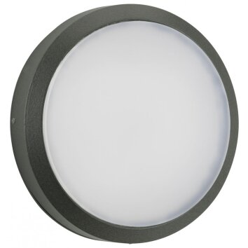 Albert 404 Applique per esterno LED Antracite, 1-Luce