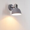 Dompierre Applique Grigio, Bianco, 1-Luce