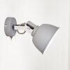 Dompierre Applique Grigio, Bianco, 1-Luce