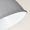 Dompierre Applique Grigio, Bianco, 1-Luce