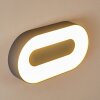 Applique da esterno Felsted LED Argento, 1-Luce