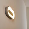 Applique da esterno Felsted LED Argento, 1-Luce