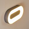 Applique da esterno Felsted LED Argento, 1-Luce