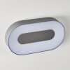 Applique da esterno Felsted LED Argento, 1-Luce