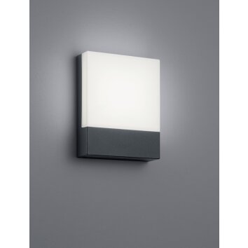 Trio PECOS Applique da esterno LED Antracite, 1-Luce