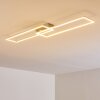 Ceva Plafoniera LED Argento, 2-Luci, Telecomando