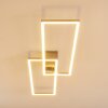 Ceva Plafoniera LED Argento, 2-Luci, Telecomando