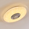 Haderup Plafoniera LED Cromo, Bianco, 1-Luce, Telecomando, Cambia colore